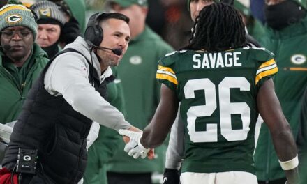 Why the Green Bay Packers Should Look to Free Agency at Safety